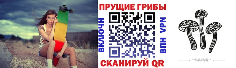 площадка какой сайт  Щёкино  Псилоцибиновые грибы Magic Shrooms 